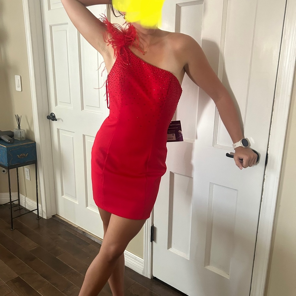 Ashley Lauren scuba dress